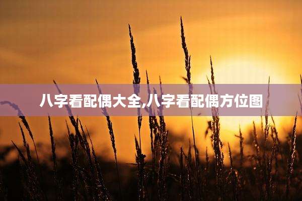 八字看配偶大全,八字看配偶方位图