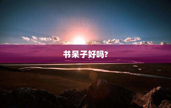 书呆子好吗?