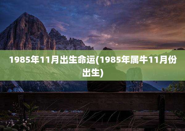 1985年11月出生命运(1985年属牛11月份出生)