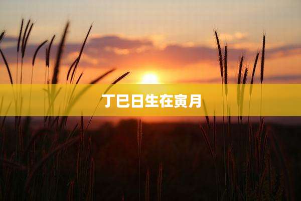 丁巳日生在寅月