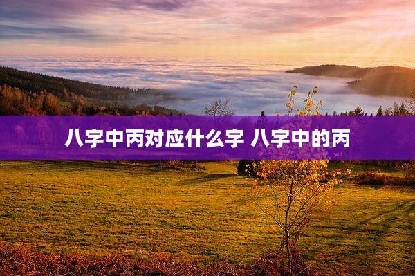 八字中丙对应什么字 八字中的丙