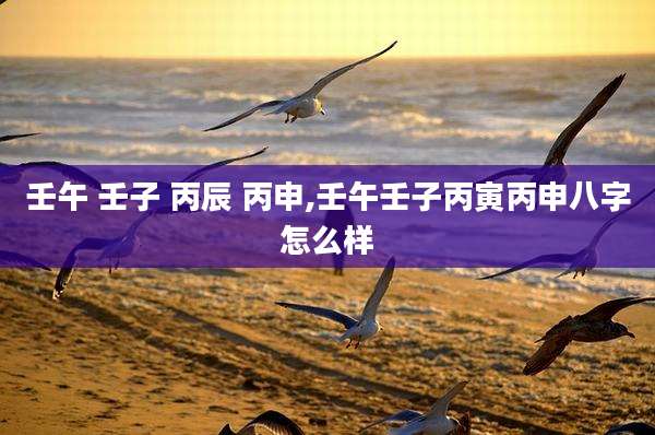 壬午 壬子 丙辰 丙申,壬午壬子丙寅丙申八字怎么样