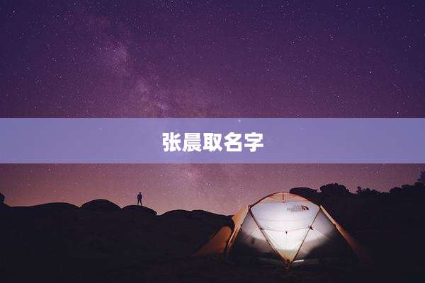 张晨取名字