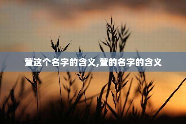 萱这个名字的含义,萱的名字的含义