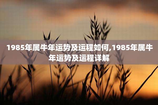 1985年属牛年运势及运程如何,1985年属牛年运势及运程详解
