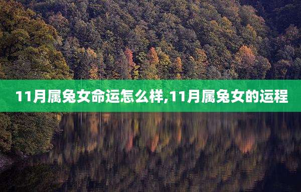 11月属兔女命运怎么样,11月属兔女的运程