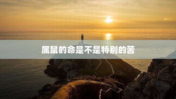 属鼠的命是不是特别的苦