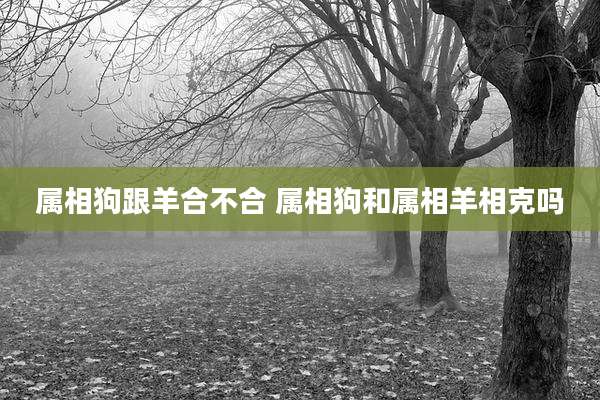 属相狗跟羊合不合 属相狗和属相羊相克吗