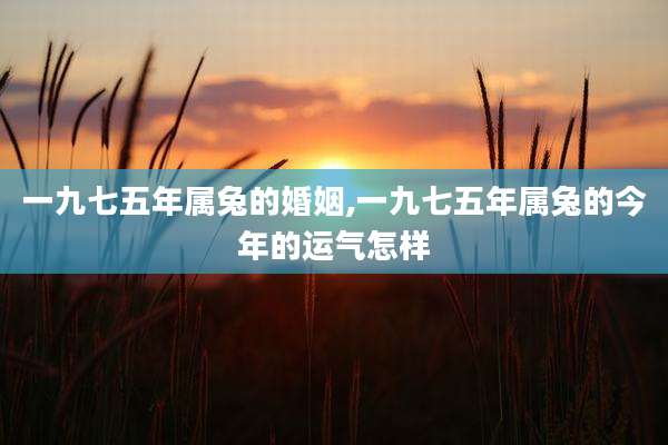 一九七五年属兔的婚姻,一九七五年属兔的今年的运气怎样