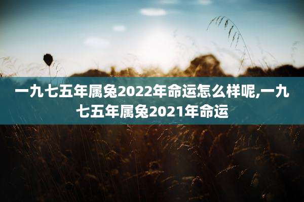一九七五年属兔2022年命运怎么样呢,一九七五年属兔2021年命运