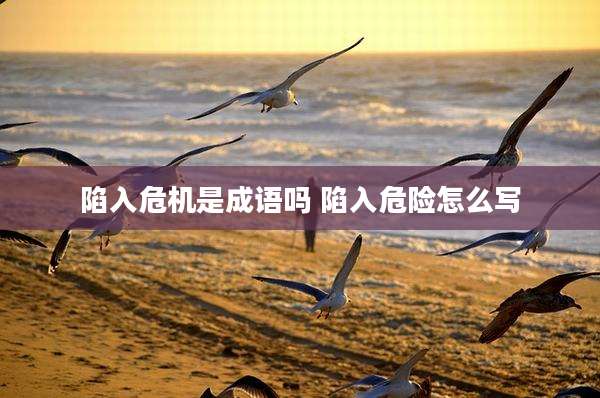 陷入危机是成语吗 陷入危险怎么写