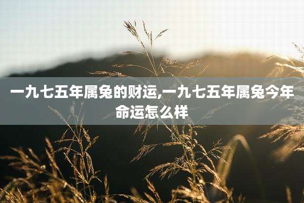 一九七五年属兔的财运,一九七五年属兔今年命运怎么样