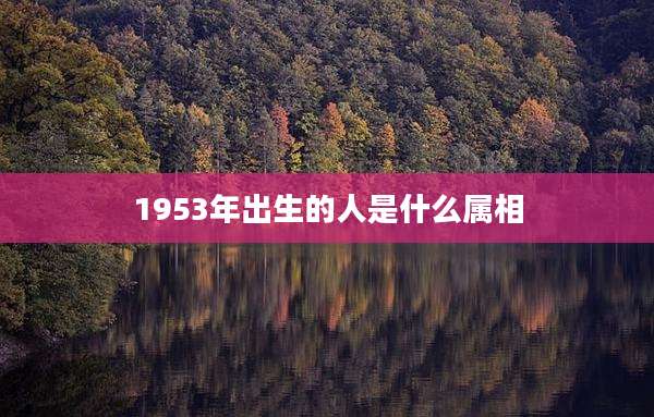1953年出生的人是什么属相