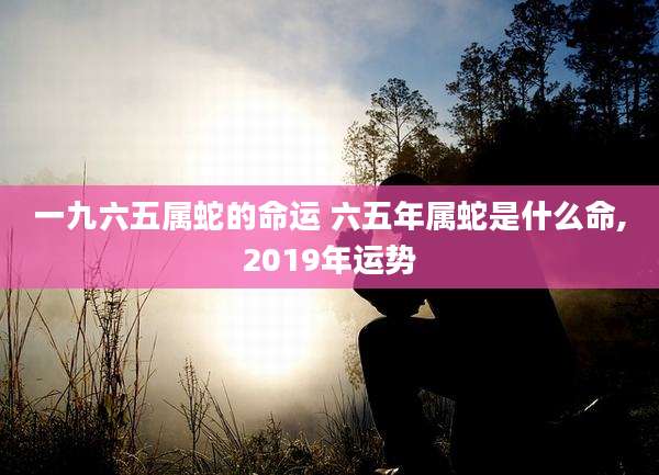 一九六五属蛇的命运 六五年属蛇是什么命,2019年运势