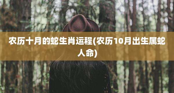 农历十月的蛇生肖运程(农历10月出生属蛇人命)