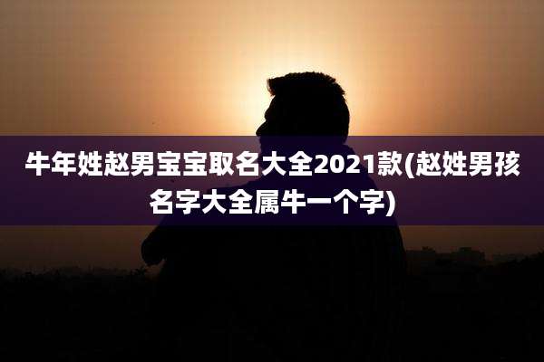 牛年姓赵男宝宝取名大全2021款(赵姓男孩名字大全属牛一个字)