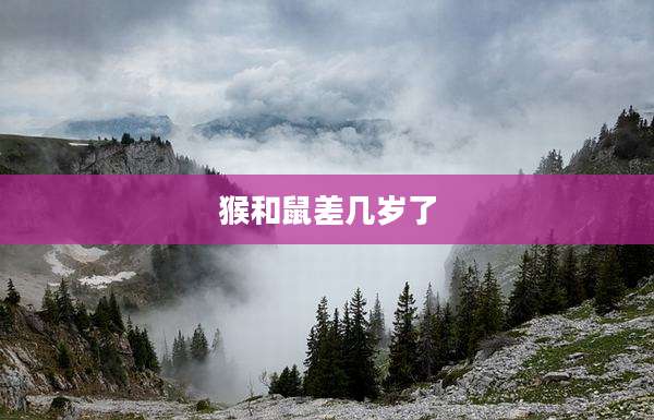 猴和鼠差几岁了