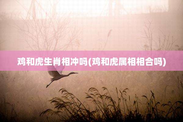 鸡和虎生肖相冲吗(鸡和虎属相相合吗)