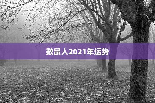 数鼠人2021年运势