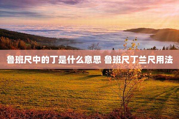 鲁班尺中的丁是什么意思 鲁班尺丁兰尺用法