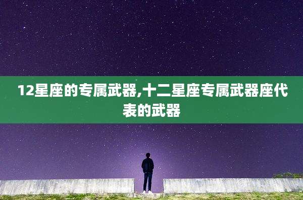12星座的专属武器,十二星座专属武器座代表的武器