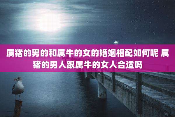 属猪的男的和属牛的女的婚姻相配如何呢 属猪的男人跟属牛的女人合适吗