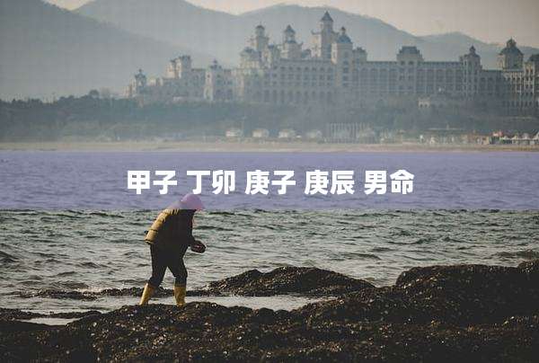 甲子 丁卯 庚子 庚辰 男命