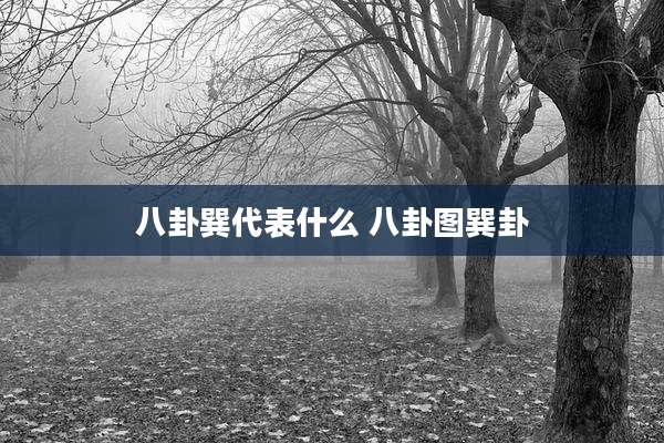 八卦巽代表什么 八卦图巽卦
