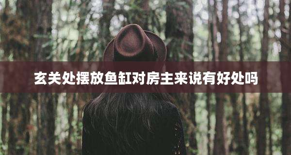 玄关处摆放鱼缸对房主来说有好处吗