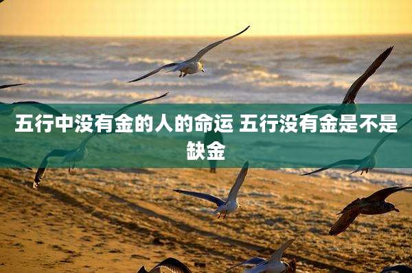 五行中没有金的人的命运 五行没有金是不是缺金