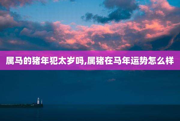 属马的猪年犯太岁吗,属猪在马年运势怎么样
