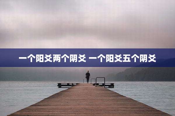 一个阳爻两个阴爻 一个阳爻五个阴爻
