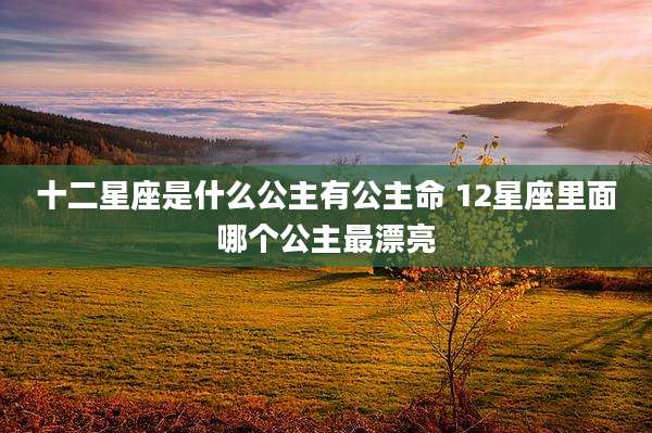 十二星座是什么公主有公主命 12星座里面哪个公主最漂亮