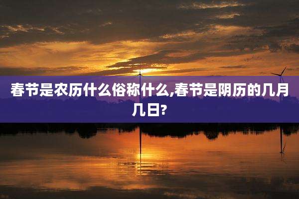 春节是农历什么俗称什么,春节是阴历的几月几日?