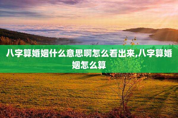 八字算婚姻什么意思啊怎么看出来,八字算婚姻怎么算