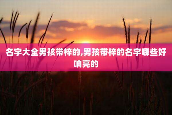 名字大全男孩带梓的,男孩带梓的名字哪些好响亮的