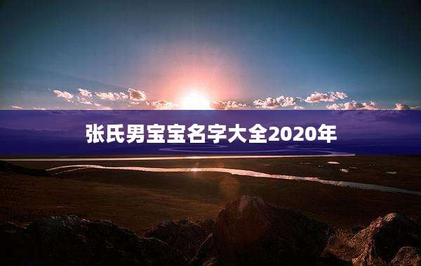 张氏男宝宝名字大全2020年
