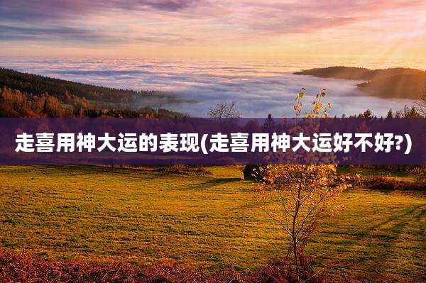 走喜用神大运的表现(走喜用神大运好不好?)