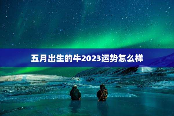 五月出生的牛2023运势怎么样