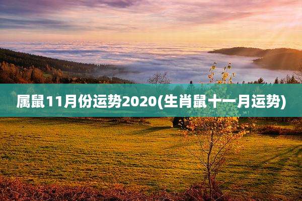 属鼠11月份运势2020(生肖鼠十一月运势)