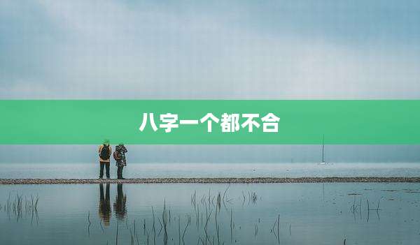 八字一个都不合