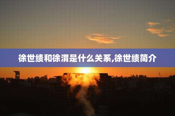 徐世绩和徐渭是什么关系,徐世绩简介
