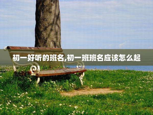 初一好听的班名,初一班班名应该怎么起