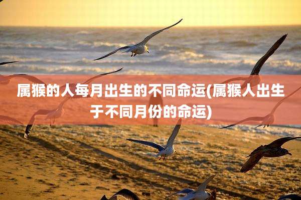 属猴的人每月出生的不同命运(属猴人出生于不同月份的命运)
