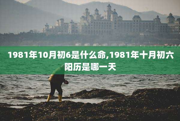 1981年10月初6是什么命,1981年十月初六阳历是哪一天