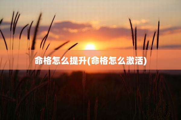 命格怎么提升(命格怎么激活)