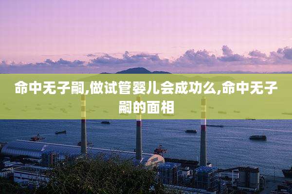 命中无子嗣,做试管婴儿会成功么,命中无子嗣的面相