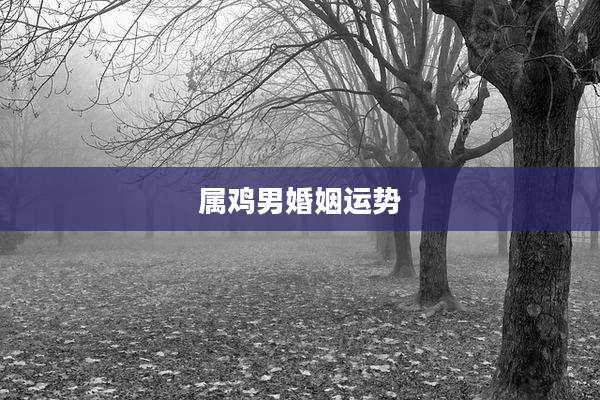 属鸡男婚姻运势