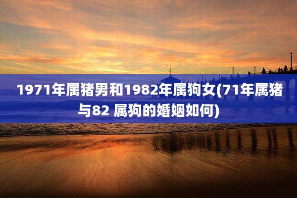 1971年属猪男和1982年属狗女(71年属猪与82 属狗的婚姻如何)