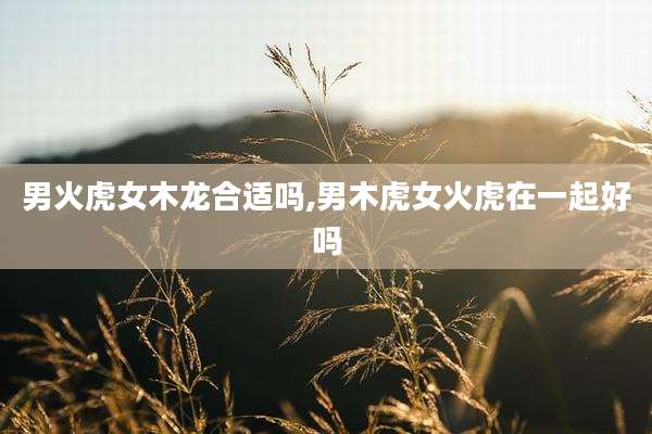 男火虎女木龙合适吗,男木虎女火虎在一起好吗